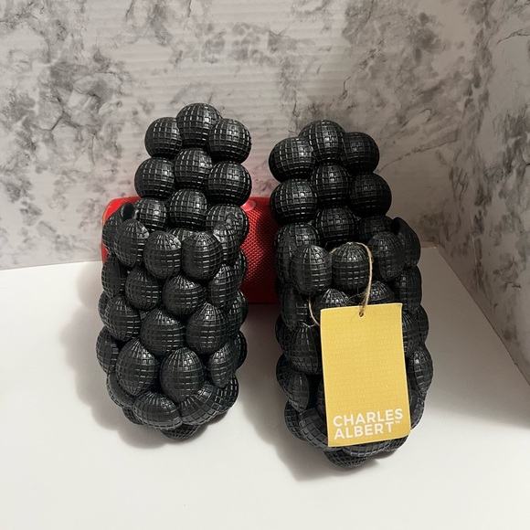 Charles Albert slides - Picture 1 of 6